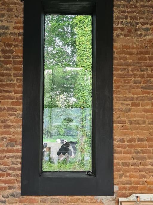 Chateau D'Humieres - Casa Clementine エクステリア 写真
