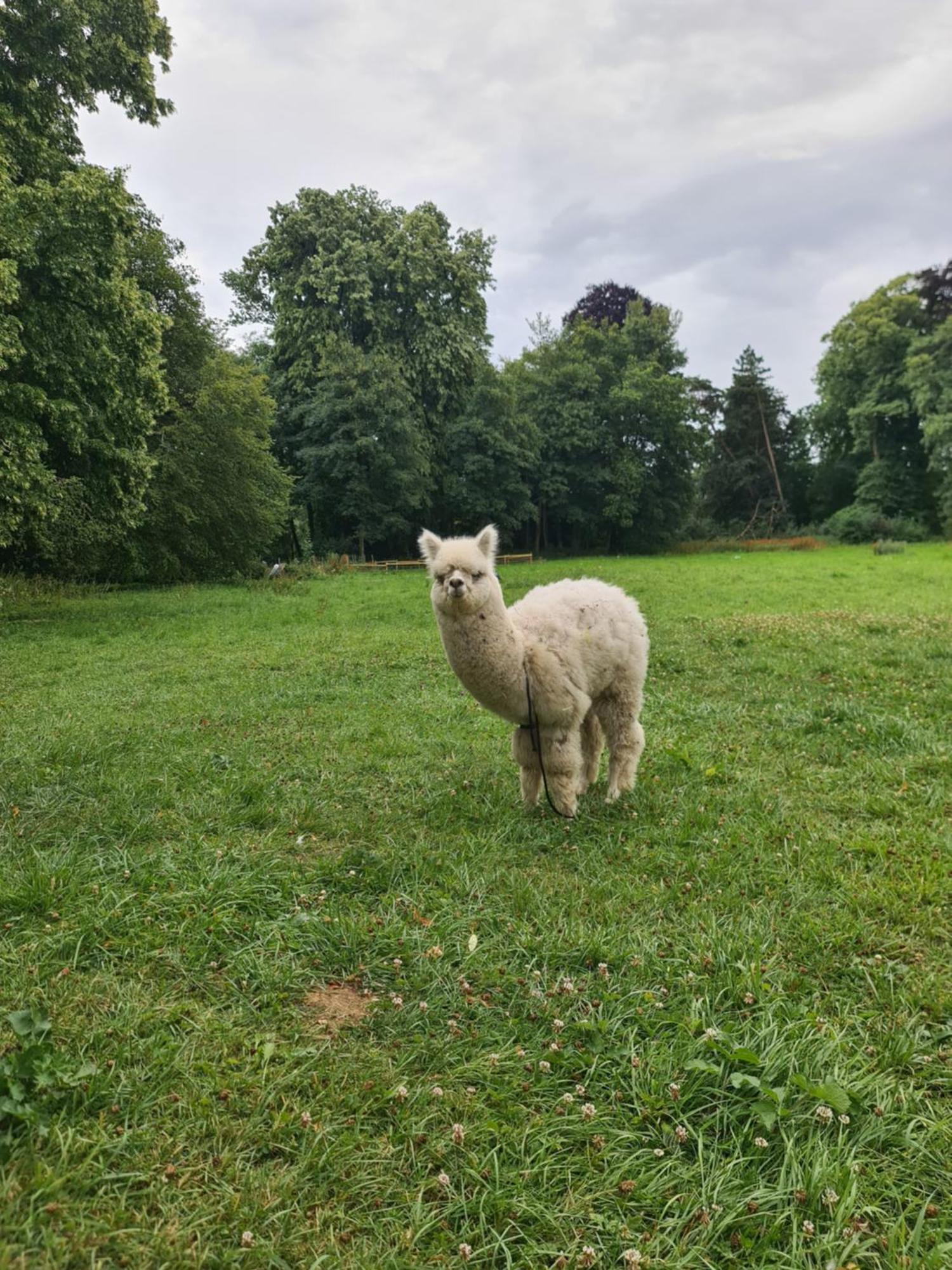 Chateau D'Humieres - Casa Clementine エクステリア 写真