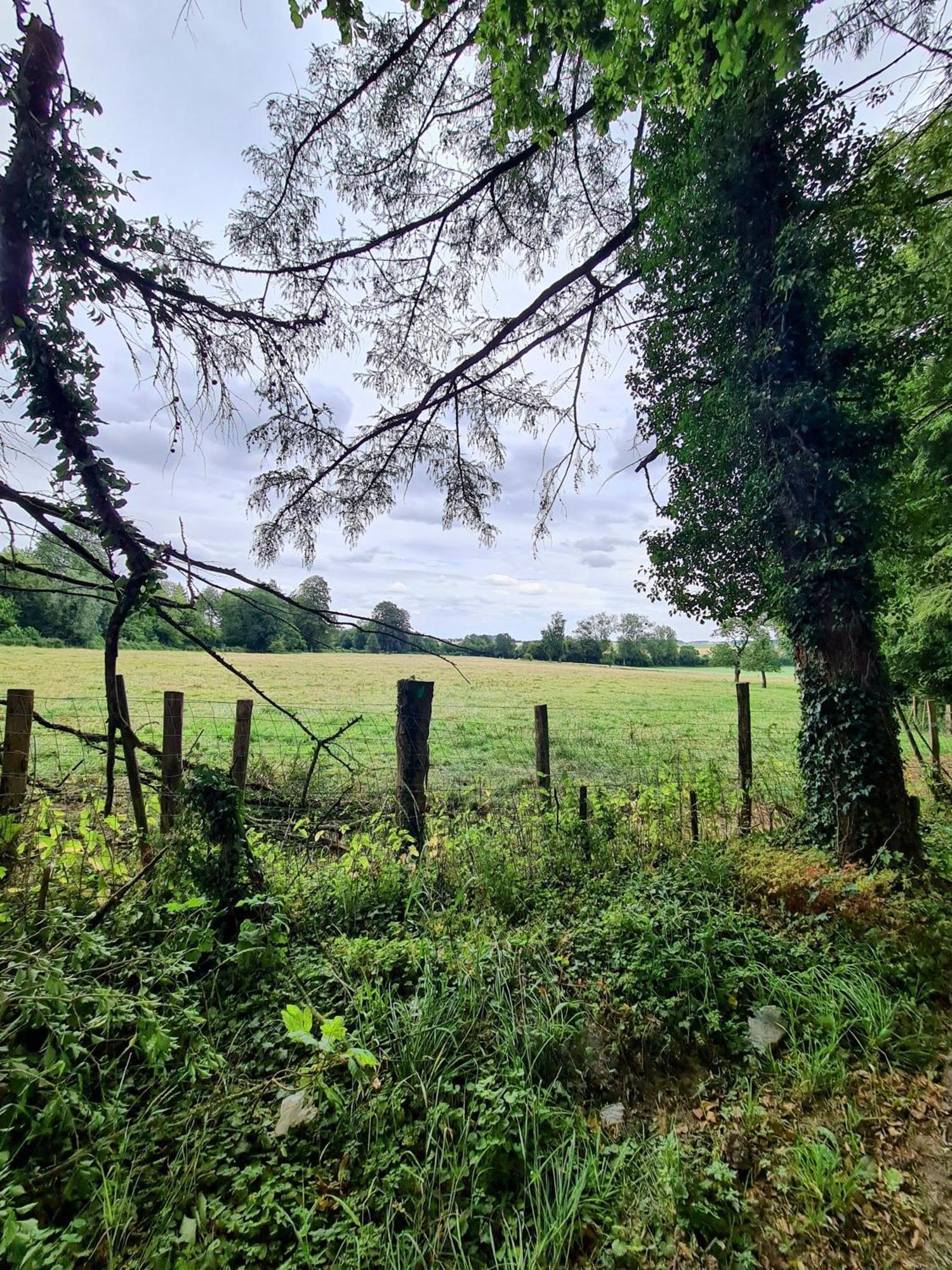 Chateau D'Humieres - Casa Clementine エクステリア 写真